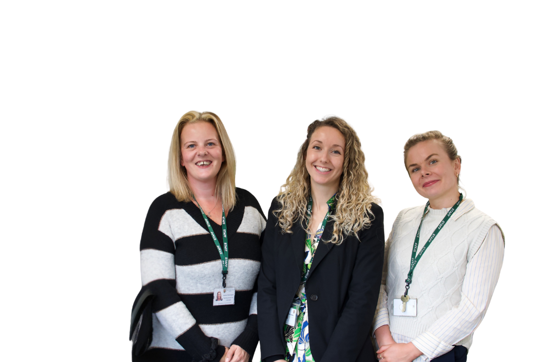 Header image for The Language Network Programme